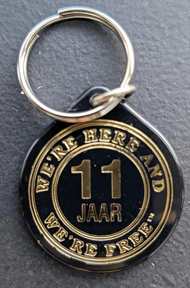 11 jaar plastic coin 